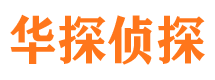 将乐市调查公司